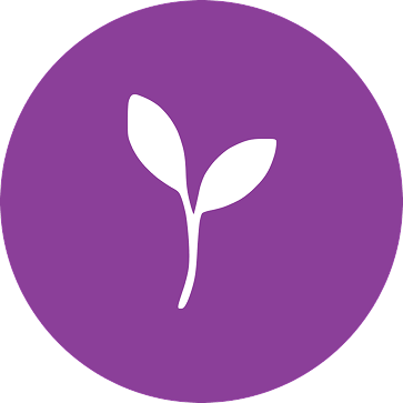 Follicular Phase : Boost Energy and Fresh Beginnings